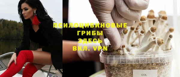трава Аркадак