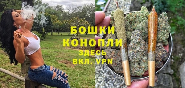 трава Аркадак