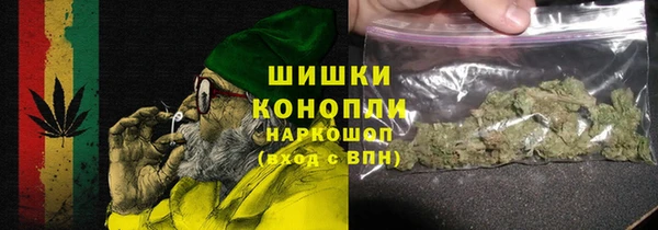 трава Аркадак