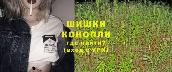 трава Аркадак
