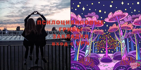 трава Аркадак