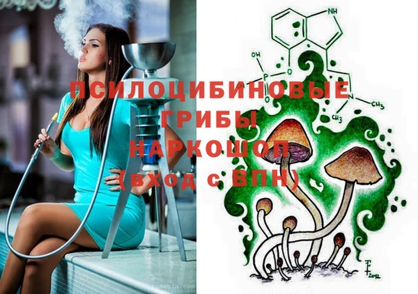 трава Аркадак